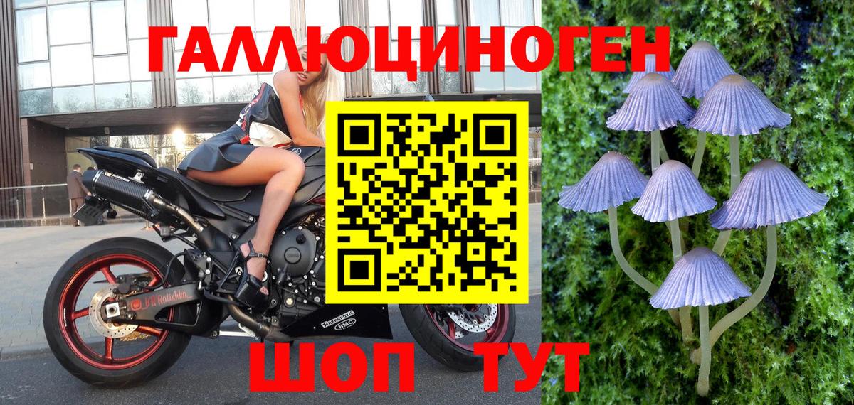Галлюциногенные грибы ЛСД Березники
